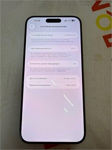 APPLE IPHONE 15 PRO MAX 256 ГБ 890000695169