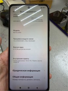 XIAOMI POCO X3 PRO 6/128 890000689010