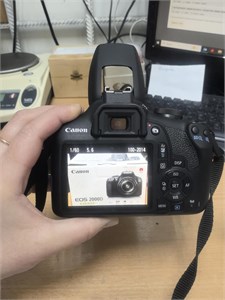 Фотоаппарат CANON EOS 2000D + объектив EF-S 18-55 890000694833