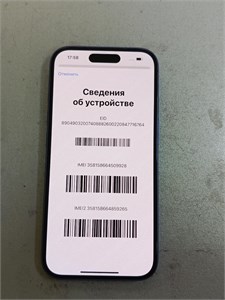 APPLE IPHONE 16 256 ГБ 890000696949
