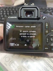 Фотоаппарат Canon EOS 2000D 890000630092