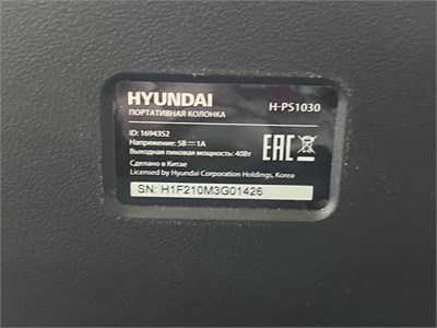 Hyundai H-PS1030 890000701914