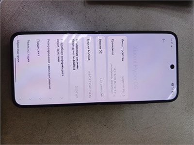 Xiaomi MIX Flip 12/512 890000700579