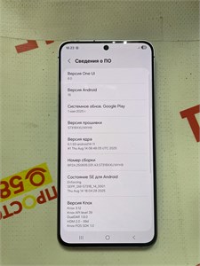 Samsung Galaxy S25 FE 8/256 890000704327