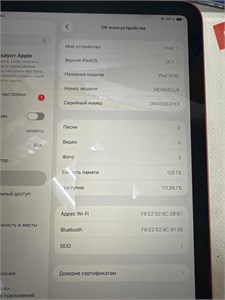 APPLE IPAD A16 128GB 890000702797