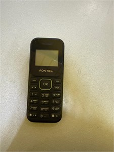 Fontel FP100 890000706122
