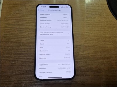 APPLE IPHONE 16 PRO MAX 256 ГБ 890000706318