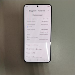SAMSUNG GALAXY S25 12/256 ГБ 890000713880