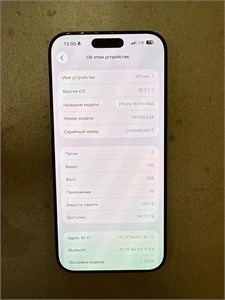 APPLE IPHONE 16 PRO MAX 256 890000713017