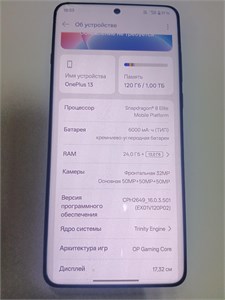 OnePlus 13 24/1000 890000700582
