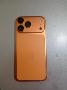 APPLE IPHONE 17 PRO MAX 256 890000720688