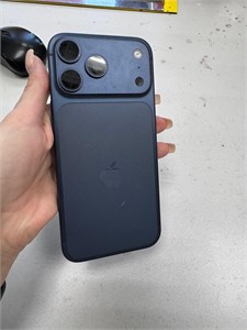 APPLE IPHONE 17 PRO MAX 256 890000721947