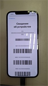 APPLE IPHONE 12 PRO MAX 128 890000713228