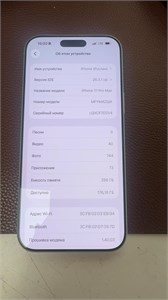 APPLE IPHONE 17 PRO MAX 256 ГБ 890000735657