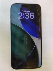 Apple iPhone 16 Pro Max 256 890000761546