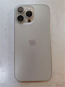 APPLE IPHONE 16 PRO MAX 256 890000764377