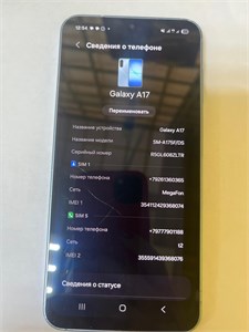 Samsung Galaxy a17 4/128 890000766383