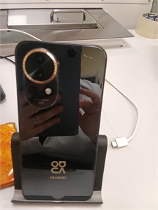 HUAWEI NOVA 13 12/512 890000766018
