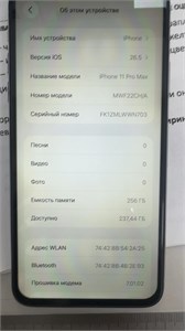 APPLE IPHONE 11 PRO MAX 256 ГБ 890000773402