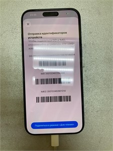 Apple iPhone 17 Pro Max 256 890000765063