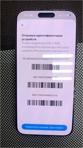 APPLE IPHONE 16 PRO MAX 256 890000775193