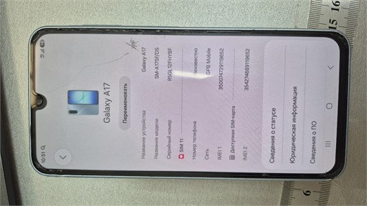 Samsung Galaxy A17 890000778066