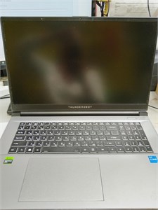 НОУТБУК ИГРОВОЙ THUNDEROBOT 911 PLUS i5-13500H RTX 4050 890000774348