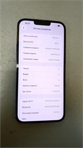 APPLE IPHONE 13 PRO MAX 128 890000760897