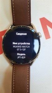 Умные часы Huawei Watch GT 3  JPT-B29 890000411784