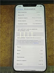 APPLE IPHONE 12 PRO MAX 256 ГБ 890000515025