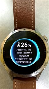 Часы Huawei Watch GT4 PNX-B19 890000519768