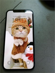 APPLE IPHONE 12 128 ГБ 890000531605