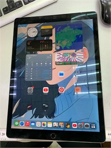 Планшет Apple iPad Pro 12.9 (1-го поколения) (2015) 256 ГБ 890000555313