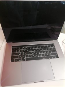 Ноутбук Apple MacBook Pro 15 (2019) i9 32/1TB 890000543345