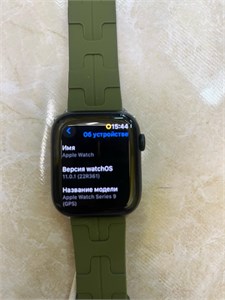 Часы Часы Apple Watch Series 9 45mm 890000540035