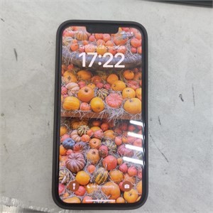 APPLE IPHONE 14 128 ГБ 890000529463