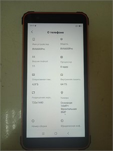 BLACKVIEW BV6600 PRO 64 ГБ 890000564477