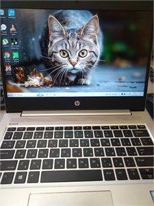 Ноутбук HP ProBook 430 G6/Core i3-8145U 890000570126