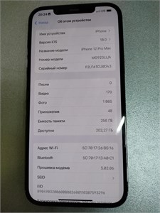 APPLE IPHONE 12 PRO MAX 256 ГБ 890000581287