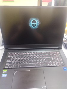 Игровой ноутбук Thunderobot Range 17 Pro (i7 13620H RTX 4060) 890000586049