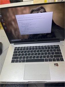 Ноутбук HUAWEI MateBook D 15 BoM-WDQ9 (Ryzen 5 5500U) 890000564548