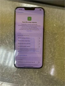 APPLE IPHONE 13 PRO MAX 256GB 890000583985