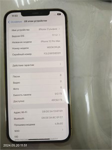 APPLE IPHONE 12 PRO MAX 512GB 890000484823