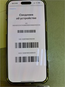 APPLE IPHONE 16 PRO MAX 256GB 890000589178