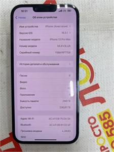 APPLE IPHONE 13 PRO MAX 256 890000591421