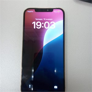 APPLE IPHONE 12 PRO MAX 256 ГБ 890000567355