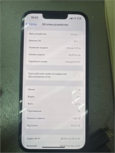 APPLE IPHONE 13 PRO 256 890000595861