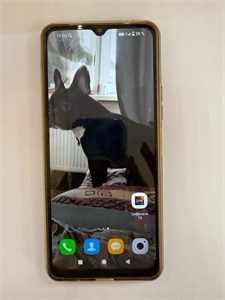 XIAOMI REDMI A3X 3/64 ГБ 890000594327