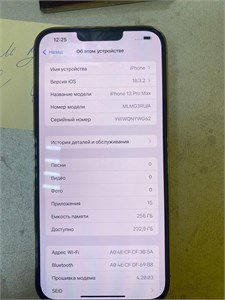 APPLE IPHONE 13 PRO MAX 256GB 890000596741