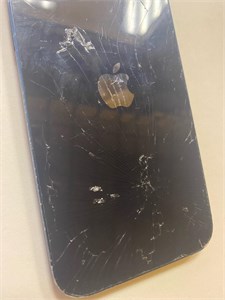APPLE IPHONE 12 128GB 890000596556